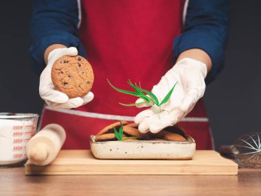Mutfakta dururken elinde kenevir çikolatalı kurabiye ve kenevir yaprağı tutan bir şef. Yiyeceklerde kullanılmak üzere tıbbi marihuana tedavisi. Kenevir bitkisiyle yemek pişirme kavramı