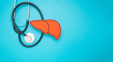 Kağıttan yapılmış steteskop ve karaciğer şekli açık mavi arkaplanda. Mesaj için yer var. Üst Manzara. Sağlık ve Tıp Konsepti