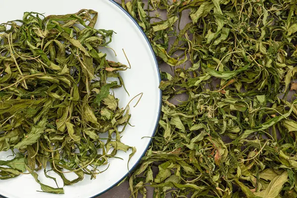 Kuru kenevir yaprağı çayının en üst görüntüsü. Dokulu marihuana yaprakları. Kenevir otlu içecek kavramı
