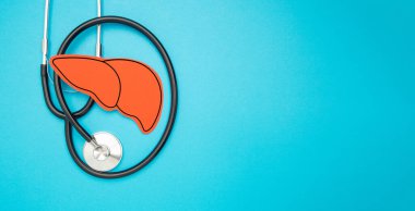 Kağıttan yapılmış steteskop ve karaciğer şekli açık mavi arkaplanda. Mesaj için yer var. Üst Manzara. Sağlık ve Tıp Konsepti