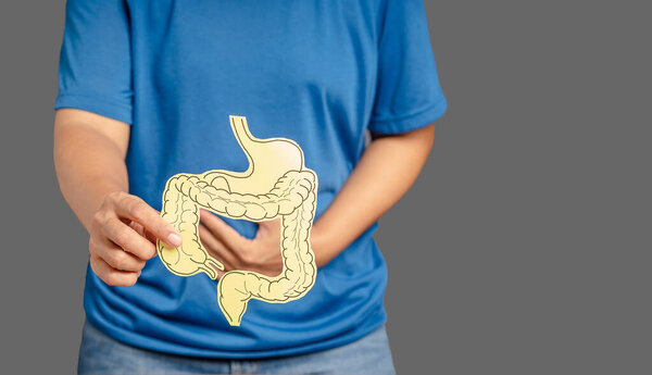 Close-up of hands holding a colon symbol and touching stomach painful suffering from stomachache caused by a gastric ulcer, appendicitis, or gastrointestinal system disease