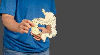 Kolon sembolü tutan ve mide ağrısından muzdarip mide ülseri, apandisit ya da mide sistemi hastalığından muzdarip olan ellerin yakın çekimi.