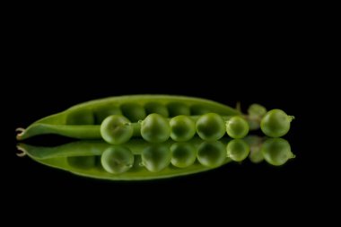 Siyah zemin üzerinde bezelye kabukları, koyu arkaplanda yeşil bezelyeler.