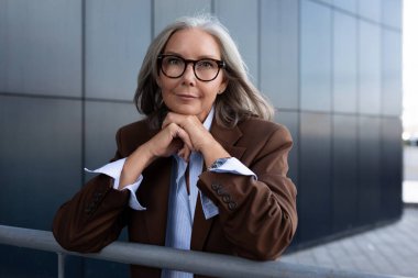 Zarif bakımlı, son sınıf iş kadınının portresi. Gri saçlı, zarif kahverengi ceketli, gömleğinin üzerinde..