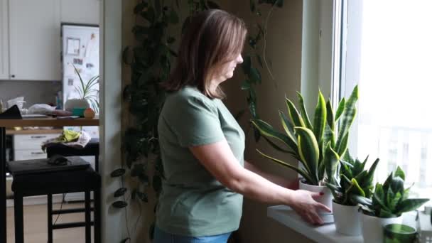 Μια Νεαρή Γυναίκα Φροντίζει Φυτά Εσωτερικού Χώρου Της Ελέγχοντας Προσεκτικά — Αρχείο Βίντεο