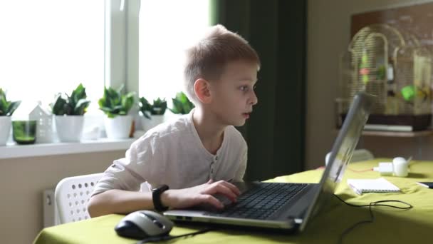Focused Young Boy Engages Laptop Typing Navigating School Assignment Well — Stockvideo
