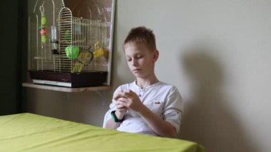 Genç bir çocuk bir masada oturuyor, cep telefonuna bakmakla meşgul. Önündeki cihaza odaklanmış ve konsantre olmuş görünüyor..