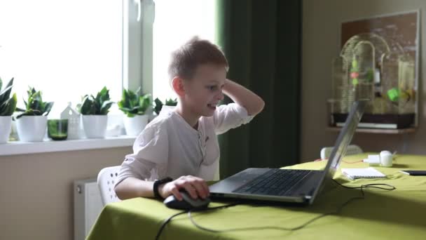 一个专心致志的小男孩 坐在堆满绿色植物和笔记本电脑的家庭书桌前 勤奋地参与了一个在线教育项目 阳光透过窗户透进来 凸显了 — 图库视频影像