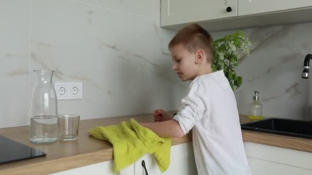 Мальчика Показывают Помощью Тряпки Очистить Кухонный Прилавок Тщательно Вытирает Поверхность — стоковое видео
