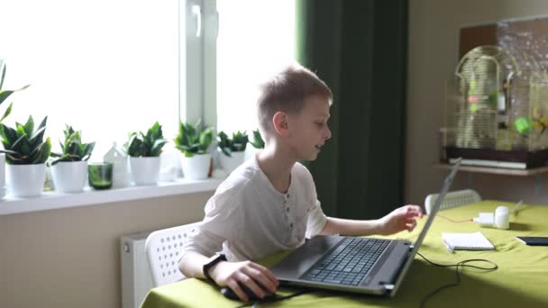 Odaklanmış Genç Bir Çocuk Rahat Bir Ortamında Dizüstü Bilgisayar Kullanarak — Stok video