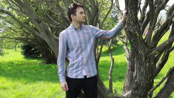 カジュアルなストライプのシャツを着た若い男性は 明るく晴れた日に緑豊かな公園の静けさで浸る古い木のそばに立っています 彼は思慮深く 自然の中で容易に見える — ストック動画