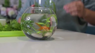Bir kadın, küçük bir akvaryumda akvaryumdaki süs balığıyla ilgilenir. Çevreyi taze bitkiler ve dekoratif taşlarla zenginleştirir. Balıkların sağlıklı ve rahat olmalarını sağlamaya odaklanmış görünüyor.