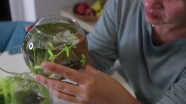 Bir kadın güzel düzenlenmiş akvaryumuna özenle bakar ve canlı balıklar için dikkatlice yiyecek ekler. Etrafını çevreleyen canlı su canlılarının yarattığı huzurlu atmosferin tadını çıkarıyor..