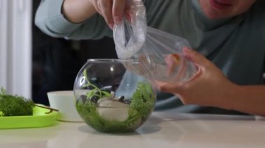 Bir kadın canlı balıklar ekleyerek ve yuvarlak cam bir akvaryuma su bitkileri yerleştirerek bir tatlı su akvaryumu hazırlıyor. Sağlıklı bir yaşam alanı yaratmak için gereken adımları gösteriyor.