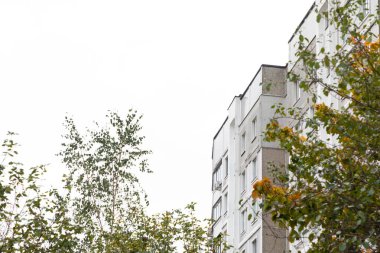 Konut güvencesi kararları arasında ailelerin kira ve ipotek seçeneklerini değerlendirdiği kentsel manzarayı vurgulayarak, bir yerleşim yerindeki gür ağaçların üzerinde yükselen uzun apartman binaları.