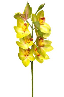 Silikon ve lateksten yapılmış parlak sarı orkideler. Ev dekoruna canlı bir dokunuş ya da bakım gerektirmeyen özel etkinlikler için mükemmel..