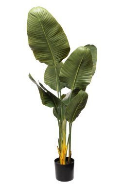 Silikon ve lateksten yapılmış canlı yapay bitkiler içeren bu dekor parçası, herhangi bir iç mekâna bir parça yeşillik katıyor, evler ve ofisler için mükemmel..