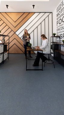 Şık bir ofis alanında, bir kadın masada oturan bir meslektaşıyla konuşuyor. Doğal ışık filtreleri, işbirliği yaparken çağdaş tasarım ve dekorasyonu vurguluyor..