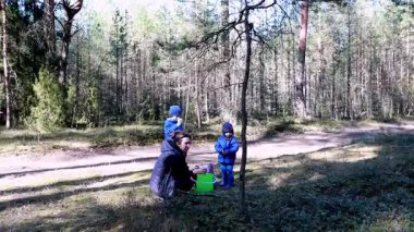 Yakınlarda oturan bir yetişkinin izlediği eşyaları toplarken ormanda oynayan iki çocuk. Huzurlu orman manzarası keşifleri için huzurlu bir zemin sunuyor..