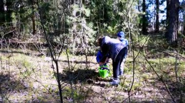 Bir aile dışarıda kaliteli zaman geçirir, çeşitli renkli yapraklar toplar ve ormanı keşfederler. Güneşli bir günde etraflarındaki temiz havanın ve doğanın güzelliğinin tadını çıkarırlar..