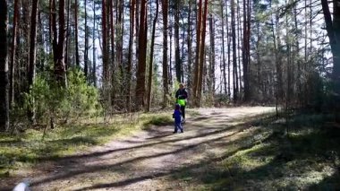 Bir çocuk sevinçle bir orman yolunda ilerlerken, küçük bir köpek onu yakından takip ediyor. Güneş ışığı ağaçların arasından süzülür, dingin manzarayı aydınlatır..