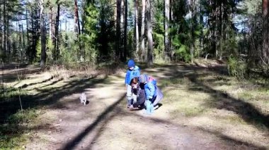 İki çocuk, uzun ağaçlar ve güneş ışığıyla çevrili bir orman yolunda küçük bir köpekle etkileşime girer. Sahne, bahar boyunca açık hava keşiflerinin neşesini yakalar..