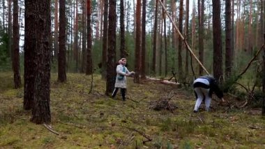 Sakin bir orman ortamında, arkadaşlar çubuk toplarken ve dışarıda eğlenirken görülebilir. Ağaçlar üzerlerinde kule oluşturarak, sonbaharın başlarında huzurlu bir atmosfer yaratırlar..
