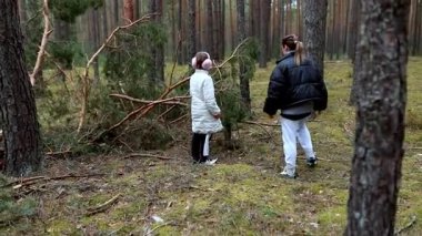 Huzurlu bir orman ortamında, bir adam ve bir çocuk yükselen ağaçların arasında düşen dalları araştırıyorlar. Sakin bir yeşilliğin ortasında, serin bir atmosferi kucaklayarak keşfe çıkıyorlar..