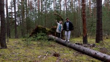 Aile üyeleri düşmüş bir kütüğün üzerinde dururken yemyeşil bir ormanda sessiz bir anın tadını çıkarıyorlar. Çevreleri canlı yeşilliklerle ve yüksek ağaçlarla çevrili. Huzurlu bir atmosfer yaratıyorlar..