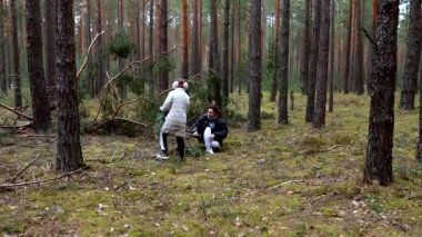 Akşamları yemyeşil bir ormanda, yakacak odun bulmak için düşen dalları toplayan iki arkadaş. Sakin atmosfer ve çam ağaçları maceraları için huzurlu bir zemin oluşturur..