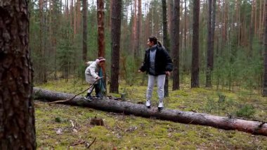 Uzun ağaçlar ve yemyeşil yosunlarla çevrili iki birey düşen bir kütükte oyuncu bir denge içinde. Sıcak güneş ışığı dalların arasından süzülerek sakin bir atmosfer yaratır..