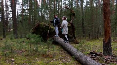 İki hevesli arkadaş, bulutlu bir günde, uzun çam ağaçları ve yemyeşil ağaçlarla çevrili büyük bir ağaç gövdesinde neşeyle durarak huzurlu bir ormanda vakit geçirmenin keyfini çıkarıyorlar..