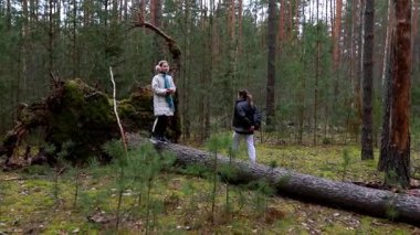 İki çocuk, büyük bir kütüğün üzerinde dengeli bir şekilde yemyeşil bir ormanda geziniyor. Etrafı uzun ağaçlar ve yeşilliklerle çevrili olarak, öğleden sonra doğayı keşfetmekten ve oynamaktan zevk alırlar..