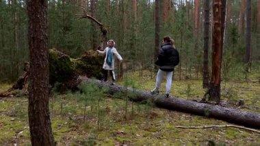 İki arkadaş, büyük bir ağaçla çarpışarak ormanda geziniyor. Üzerine tırmanıp yeşil ve uzun ağaçlarla çevrili açık havada eğleniyorlar..