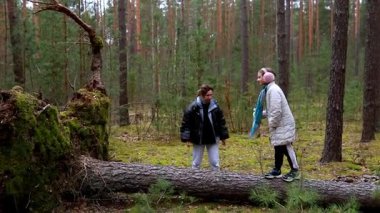 İki arkadaş güler ve sakin bir orman ortamında eğlenirler. İlkbaharda uzun ağaçlar ve yeşilliklerle çevrili düşmüş bir kütüğü neşeyle dolaştılar..
