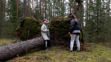 İki arkadaş, sakin bir ormanda, sakin bir öğleden sonra, devrilmiş ağaçların ve yosunlu zeminin arasında yürüyüp, huzurlu bir ortamda doğanın güzelliğini takdir ediyorlar..