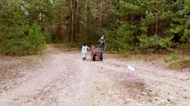 Huzurlu bir orman açıklığında, bir çocuk bir yetişkinin küçük bir arabayla dal toplamasına yardım eder. Bu sırada neşeli bir köpek yakınlarda keşfe çıkar. Sakin bir ortam bu açık hava aktivitesi için mükemmel bir zemin oluşturur..