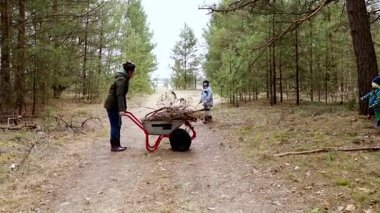 Bir aile ormanda birlikte vakit geçirir, el arabasıyla ağaç dalları ve kütükler toplar. Yetişkinler akşam ısınmak için odun toplarken çocuklar oyun oynuyor..