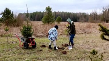 İki çocuk geniş bir alanda genç ağaçlar kazıyor ve dikiyorlar. İlkbaharın başlarında ormanların yeniden ağaçlandırılmasına odaklanan bir toplum projesiyle meşguller..