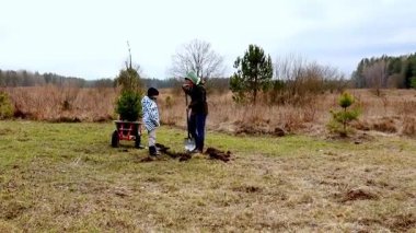 İki birey, doğa tarafından çevrelenmiş sakin bir alana genç ağaçlar dikmekle meşgul. Parlak bulutlu gökyüzü onlar birlikte çalışırken yeşil manzarayı tamamlıyor..