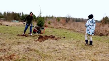 Aile üyeleri kırsal alanda genç ağaçlar dikmek için birlikte çalışırlar. Biri çukur kazarken, diğeri seyrediyor. Hepsi de serin havada. Manzara açık ve doğal..