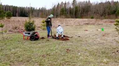 İki kişi etkin bir şekilde bir ormanla çevrili çimenlik bir alana ağaç dikiyorlar. Bir çocuk, serin bir bahar gününde temiz havanın tadını çıkarırken kazmaya yardım eder..
