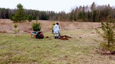 İki birey açık alanda genç ağaçlar dikmek için birlikte çalışırlar. Baharın erken zamanlarını gösteren seyrek otlar ve dağınık ağaçlarla manzara sakin..