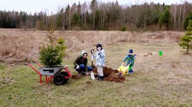 Güneşli bir bahar öğleden sonrasında, bir aile bir tarlaya genç ağaçlar dikmekten zevk alır. Çocuklar el arabalarına ve renkli bahçe aletlerine yardım ederken, doğayı öğrenirken oyun oynuyorlar..