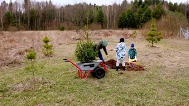 Çocuklar bir orman açıklığında genç ağaçların dikilmesine yardım ediyorlar. İlkbahar başları ve herkes coşkuyla bu çevre dostu etkinliğe katılıyor..