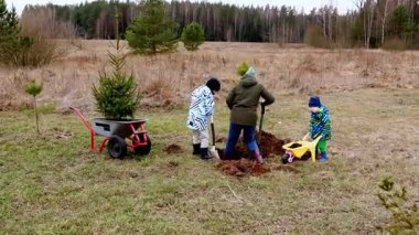 Bir aile ormanla çevrili açık bir alanda genç ağaçlar dikmekle meşgul. Yetişkinler ve çocuklar birlikte çalışır, çukur kazar ve toprağı hazırlarlar..