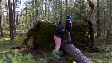 Yetişkin biri onu yemyeşil bir ormanda cesaretlendirirken bir çocuk devrilmiş bir ağaca tırmanıyor. Güneş ışığı ağaçların arasından süzülüp, canlı bir açık hava macerası yaratıyor..