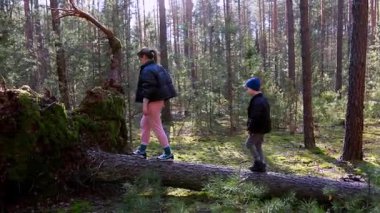 İki çocuk, uzun ağaçlar ve yosunlu zemin ile çevrili sakin bir ormanda devrilmiş bir ağaçta geziniyor. Doğada eğlenceli bir maceranın tadını çıkarıyorlar, dışarıyla bağlantı kuruyorlar..