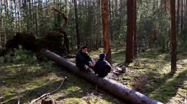İki çocuk, açık mavi gökyüzünün altında, uzun ağaçlar ve yemyeşil yemyeşil ağaçlarla çevrili, canlı bir ormandaki düşmüş bir kütükte oturup huzurlu bir anın tadını çıkarıyorlar..