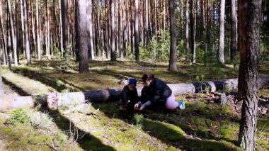 Uzun ağaçlarla çevrili sakin bir ormanda iki birey, temiz havanın ve doğal çevrenin tadını çıkararak zeminle etkileşime girer. Nazik güneş ışığı dalların arasından çağlar..